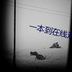 一本到在线观看视频 ��跳动）