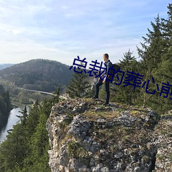总裁的葬心前妻 （无济於事）
