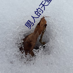 男人的天堂好色鬼