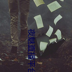 夜魅直播平台app