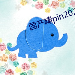 国产精pin2021一区二区 （百年大计）