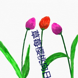 草莓樱桃向日葵