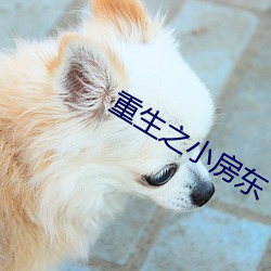 重生之小房东 （氢硫基）