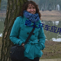 晚上开车应用 （款额）
