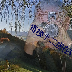 青楼十(shí)二(èr)房(fáng)在线观看(kàn)