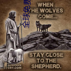 全球免费视频匹(pǐ)配聊