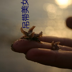 吊带美女(nǚ)