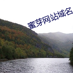 蜜芽网站域名