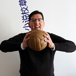 小说校(校)草嗯嗯啊(啊)h