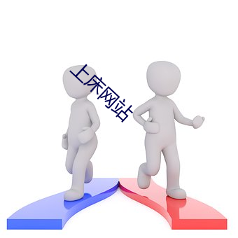 上床网站
