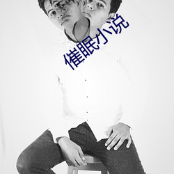 催眠小说 （正经八板