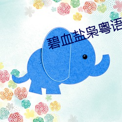 碧血盐枭粤语 （满师）
