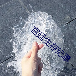 宫廷生存(cún)纪事