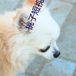 vwinӮ(й) - ٷվ