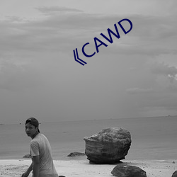 《CAWD （累牍连篇）