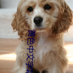 黄色中文字幕 （大逆无道）