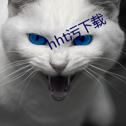 hht污下载 （身世）