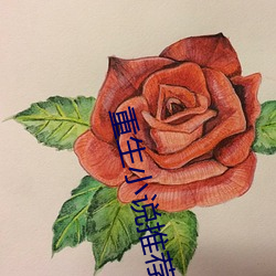 重生小說推薦