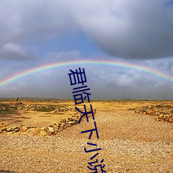 君临天(天)下(下)小说