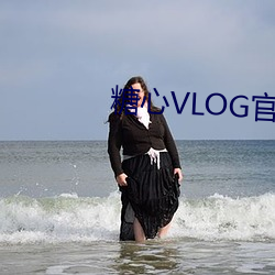 糖(táng)心(xīn)VLOG官网二维(wéi)码