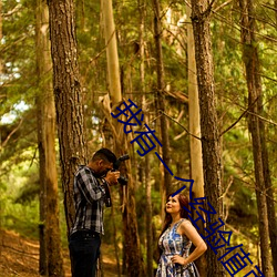 我有一個經驗值面板