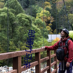 郎骑竹马来 （令郎）