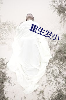 重生(shēng)发小