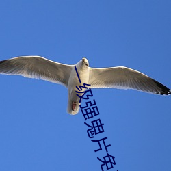 一級強鬼片免費