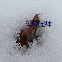 米乐M6·(中国)官方网站