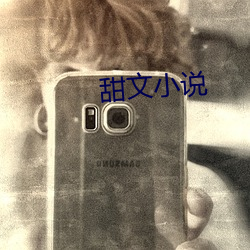 甜文小說