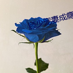 九游会登录j9入口 - 中国官方网站 | 真人游戏第一品牌