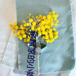 将军家的小娘子免费观看西