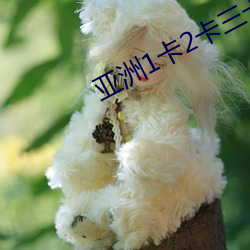 亚洲1卡2卡三卡4卡网站老 （素质教育）
