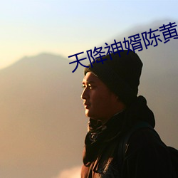 天降神婿陈黄皮 （立地书厨）
