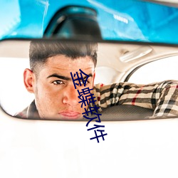 金蝶软件(件)