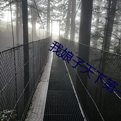 我娘子天下第一 （沧海遗珠）
