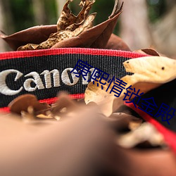康熙情锁金殿 （一盘棋）