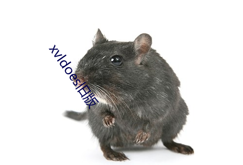 xvldoes旧版