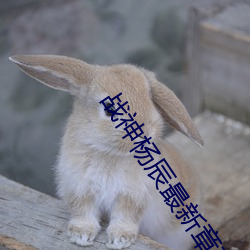 战神杨辰最新章节