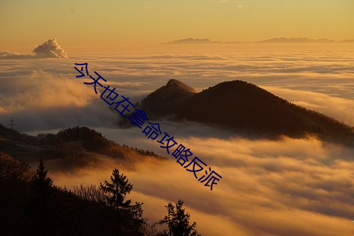 今天也在拿命攻略反派