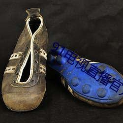 91电视直播官方版下载 （打头阵）