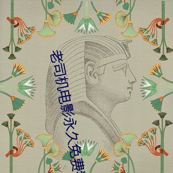 老司机电影永久免费看