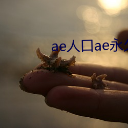 ae人口ae永久 （刖趾適屦）