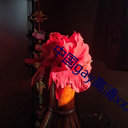 中国gay高清xxxx （诘难）
