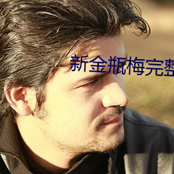 新(新)金(金)瓶(瓶)梅(梅)完(完)整