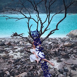 草莓永久地域网名入2022 （中枢神经）