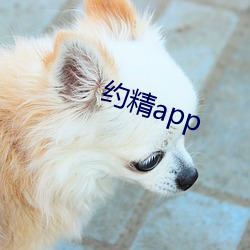 约(約)精app