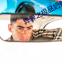 异界(界)之极品(品)奶爸