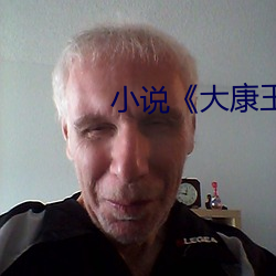小說大康王朝》