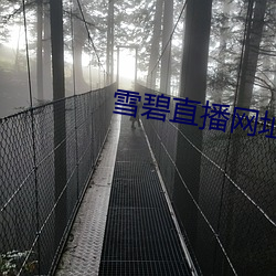 米乐M6·(中国)官方网站